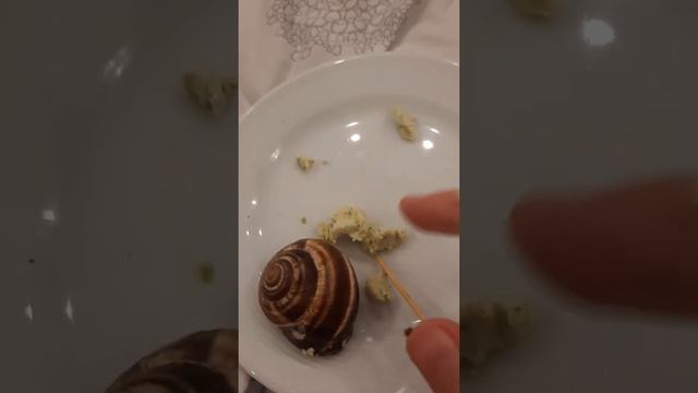 пробую УЛИТКИ!!! смотреть онлайн