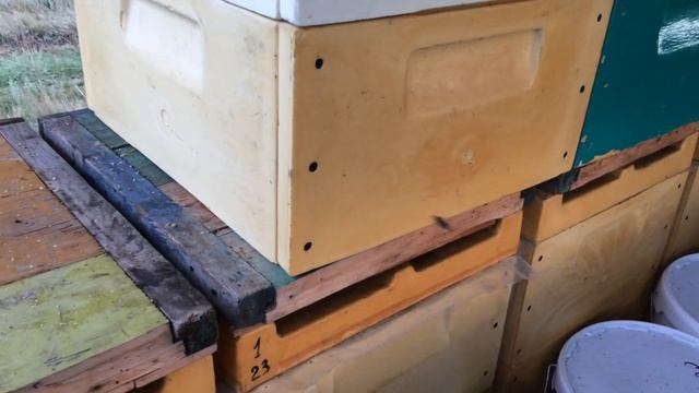 Ульи ппу и кочевое пчеловодство. смотреть онлайн