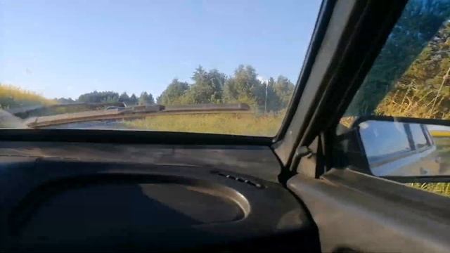 влог с леса, собираем грибы?? смотреть онлайн