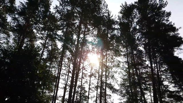 Парк Ларисы Лазутиной смотреть онлайн