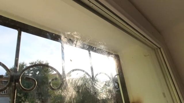 Как Снять Старую Наклейку со Стекла на Окнах за 1 минуту смотреть онлайн