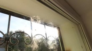 Как Снять Старую Наклейку со Стекла на Окнах за 1 минуту