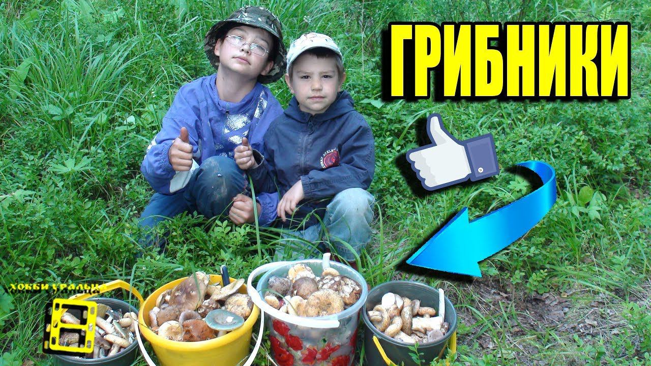 ПОХОД В ЛЕС ЗА ГРИБАМИ. НАЗВАНИЕ СЪЕДОБНЫХ ГРИБОВ. ВИДЕО ПРО ГРИБЫ смотреть онлайн