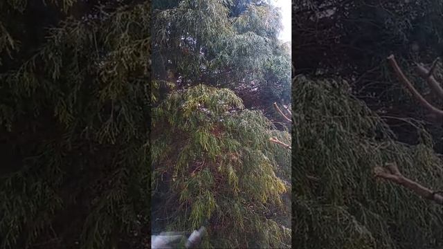 Америка в письмах is live! смотреть онлайн