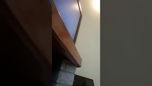 Test dvd telefunken i vivax dio 2 смотреть онлайн