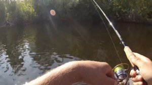 Ловля голавлей на воблер Jackall Chubby 38 ghost wakasagi.