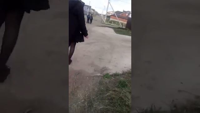 Убегаем от собак ВЛОГ смотреть онлайн