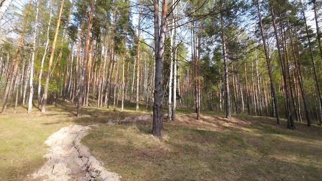 [4K] Родник в Явлейке / Весенний лес / Кузнецкий район (30.04.2023) смотреть онлайн