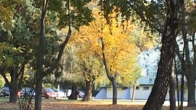 Hol van az a nyár Ruttkai Éva Latinovics Zoltán смотреть онлайн