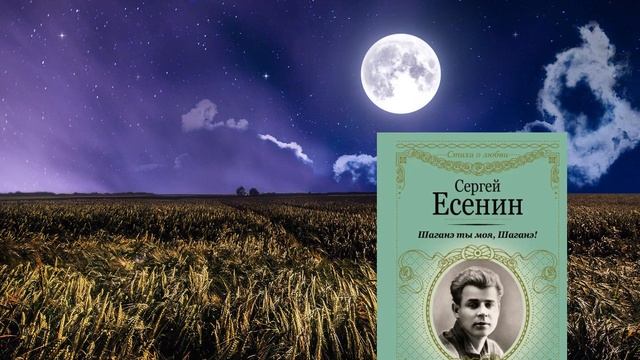 Сергей Есенин «Шаганэ ты моя, Шаганэ…» // автор перевода на джуури Людмила Теймурова-Юсуфова смотреть онлайн