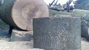 Бензопила Урал 2Т в работе