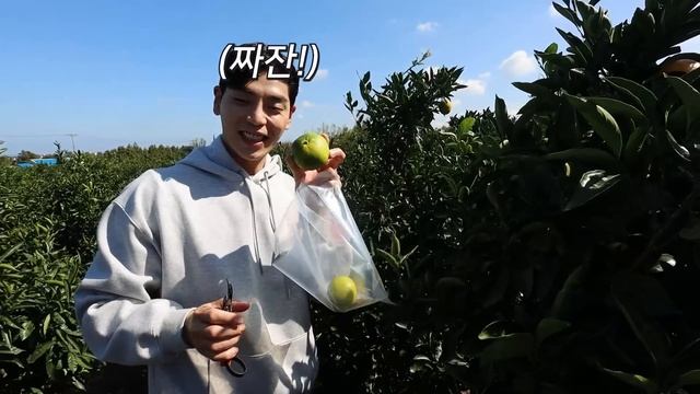 제주도 24시간 하루먹방 감귤 무한리필 다가미김밥 제주 브이로그 2탄 Korean Mukbang Eatingshow