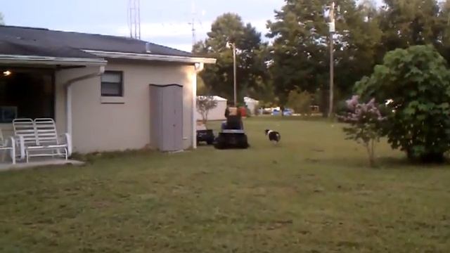 Red neck racing!! смотреть онлайн