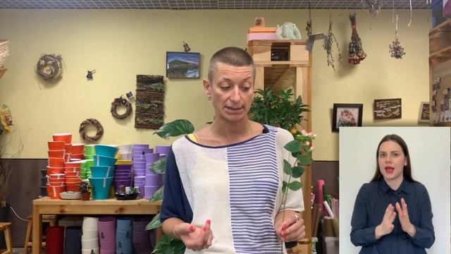 Гиперикум { СУРДОПЕРЕВОД } что за чудо-ягодки в букете? смотреть онлайн