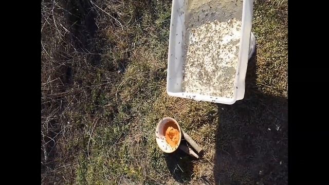 Февральская подкормка пчел соевой мукой 15.02.2020г.... смотреть онлайн