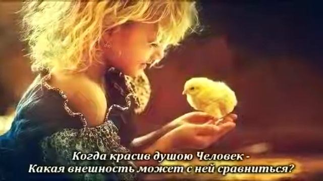 Стихи Омара Хайама смотреть онлайн