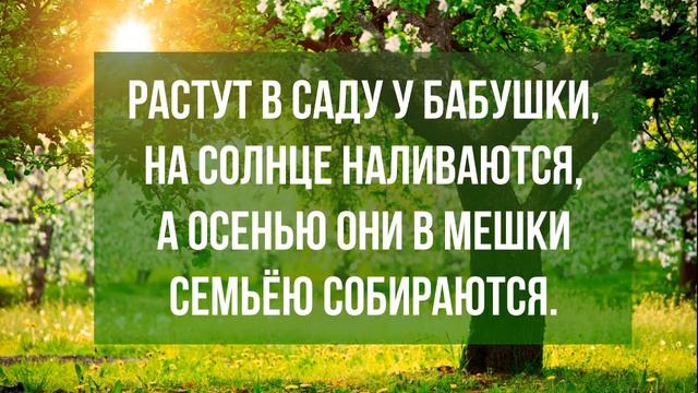 Загадка про известное дерево с наливными плодами для детей с ответом смотреть онлайн