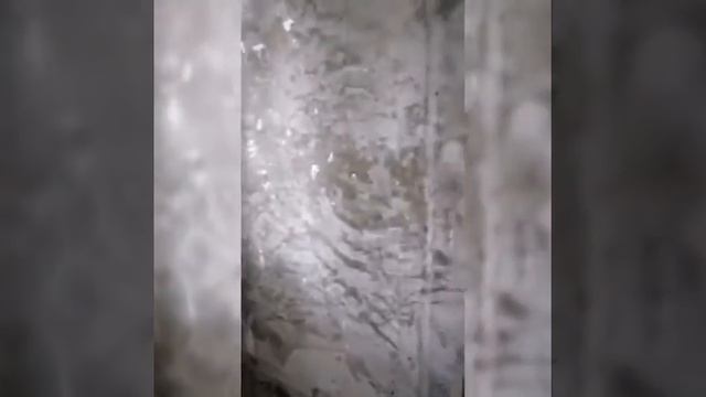 Отзыв о "Plaster Excellent 110" - штукатурке цементной для ручного и машинного нанесения смотреть онлайн