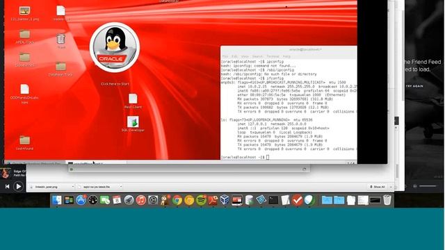 Oracle Developer Day Database VirtualBox Appliance смотреть онлайн