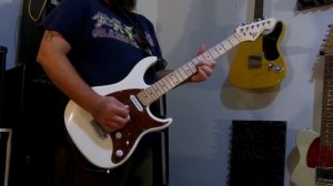 Peavey Raptor Plus: A Great Beginner Guitar