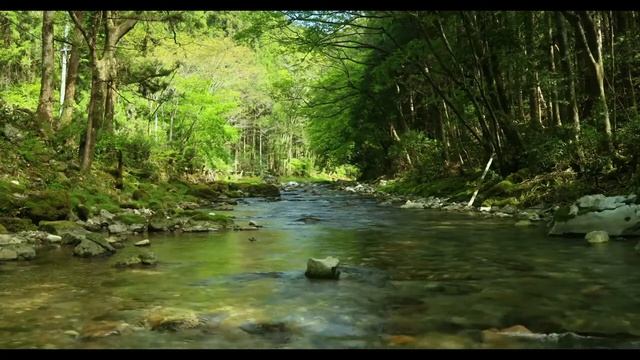Иван Тургенев - Когда давно забытое названье смотреть онлайн