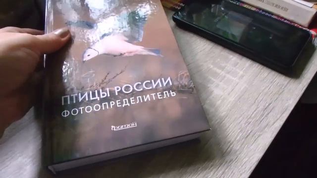очень домашний влог... смотреть онлайн