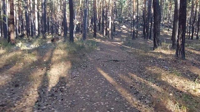 Боровое , 2 октября 2022 смотреть онлайн
