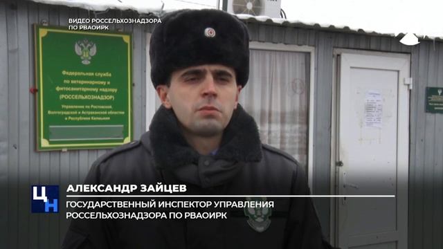 В регионе отмечают увеличение грузопотока смотреть онлайн