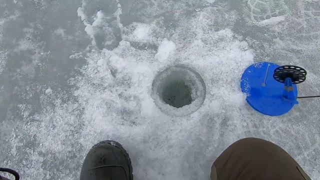 Лед еще крепкий. Ловим судака на жерлицы. смотреть онлайн