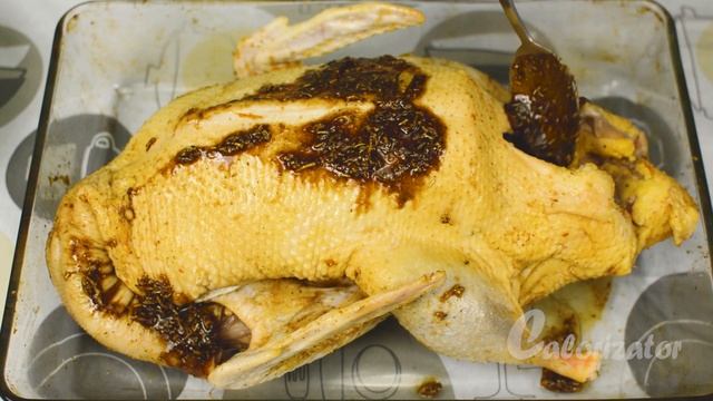 Уроки Пения и Вокала