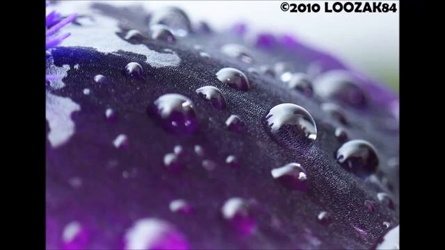 My macro nature photography смотреть онлайн