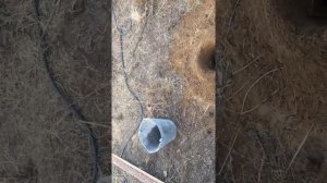 Как пробурить мерзлую землю ямобуром