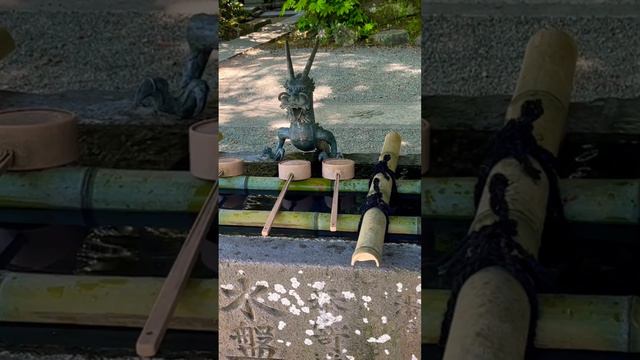 Dragon #dragon #travel #tokyo #japan #india смотреть онлайн