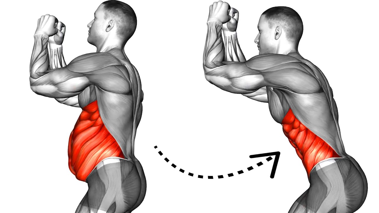 Упражнения для пресса | Делай это каждый день чтобы получить 6 кубиков пресса смотреть онлайн