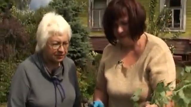 Дачные советы 10.07.2014 смотреть онлайн