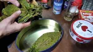 Очередная ферментации табака.(сорт Гавана).