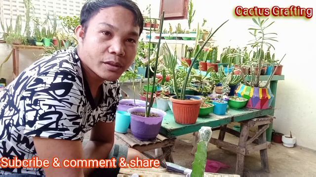 CACTUS GRAFTING-Best Technique Method-Make your Plant Attractive and Profitable смотреть онлайн