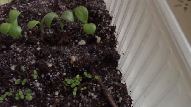 Дизайнерский рай