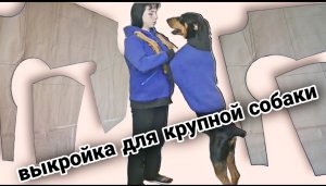 Выкройка для собак крупных пород. Построение выкройки.