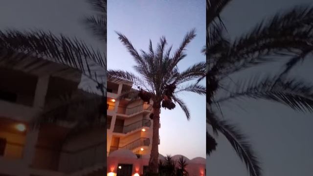 Египет смотреть онлайн