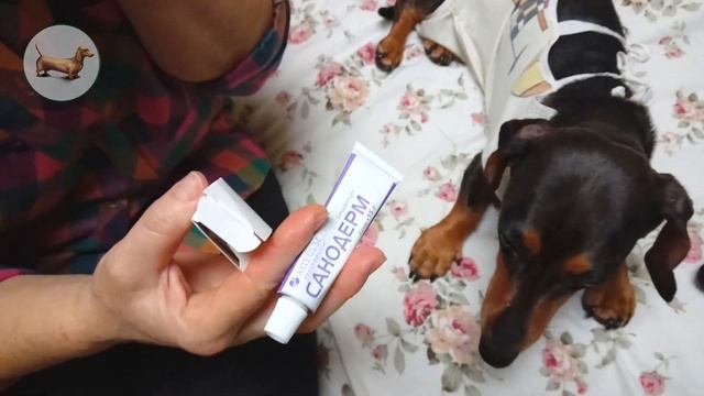 ТАКСА ^ ТАКСЫ ^ ТАКСА - 