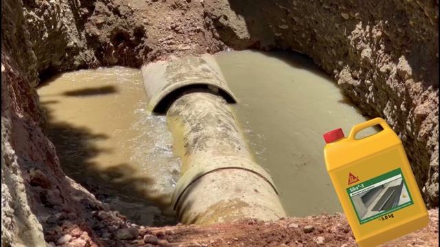 Sika 3 Acelerante смотреть онлайн