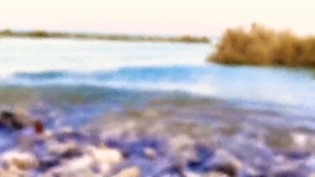 Places to visit in Qatar EP2 (Al Wakrah Beach) | Zamong Adventure смотреть онлайн