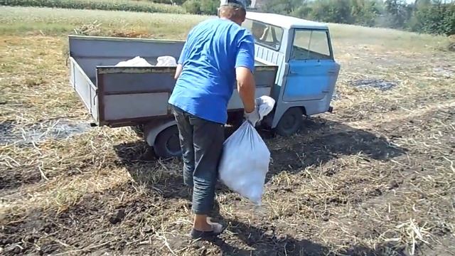 Перевозка мини-грузовиком картофеля с огорода смотреть онлайн