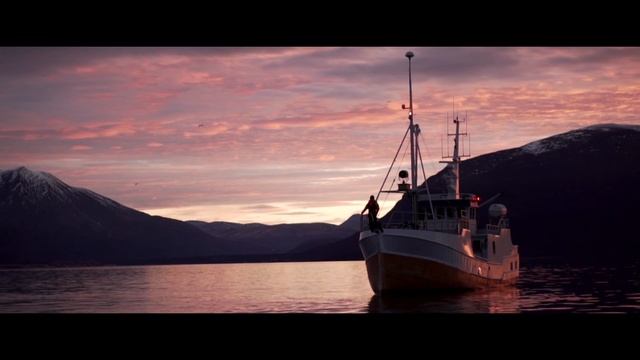 ORCA SAFARI IN NORWAY/ Плавание с косатками в Норвегии 2018 смотреть онлайн