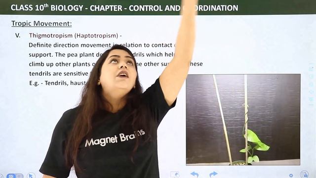 Control and Coordination Class 10 Full Chapter | What is Control and Coordination Class 10? 2022-23 смотреть онлайн
