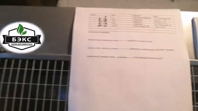 КРОСС Ломан браун (3 неделя) на корме КС-24 завод "БЭКС". ДОМАШНЯЯ ФЕРМА С "БЭКС". смотреть онлайн