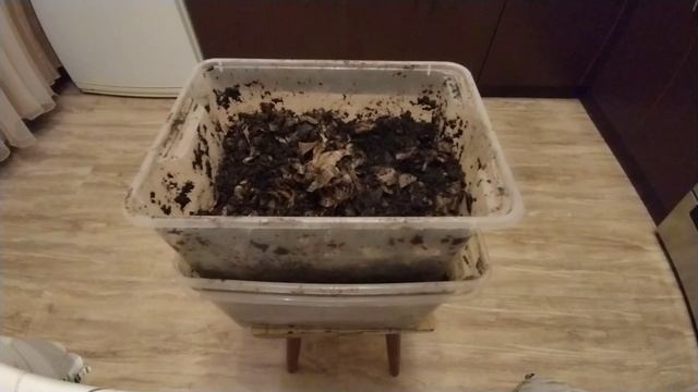 Биогумус в домашних условиях