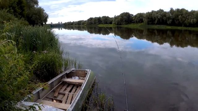 Fanatik Dagger 2.5. Ловля окуня на силиконовую приманку Fanatik. Спиннинговая ловля в июле. смотреть онлайн