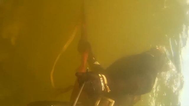 Охотиться под водой с вертикалкой) смотреть онлайн